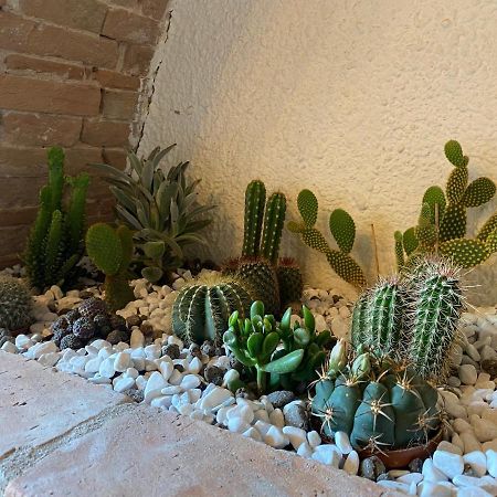 Cactus Suite بيزا المظهر الخارجي الصورة
